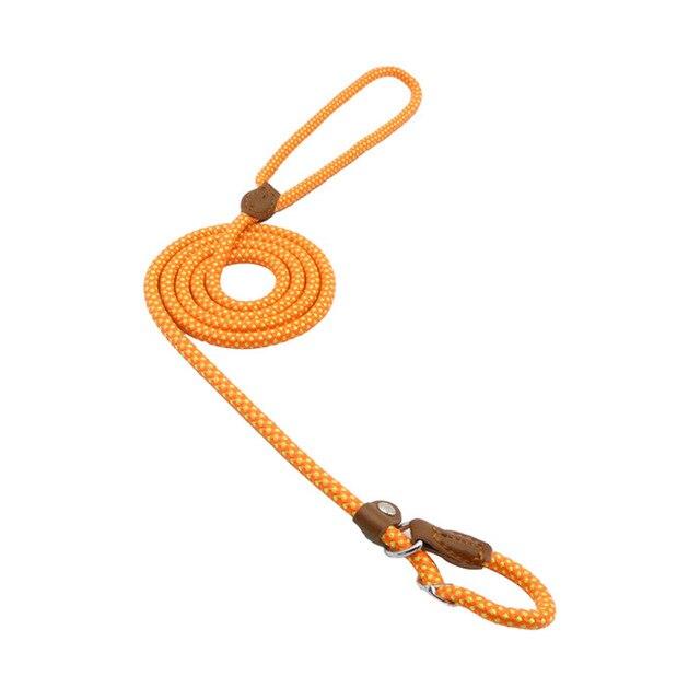 WalkBond™ | Nylon Collar & Lead Set