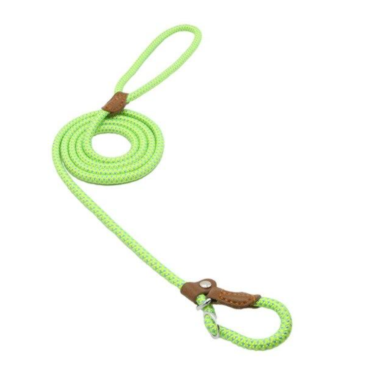 WalkBond™ | Nylon Collar & Lead Set