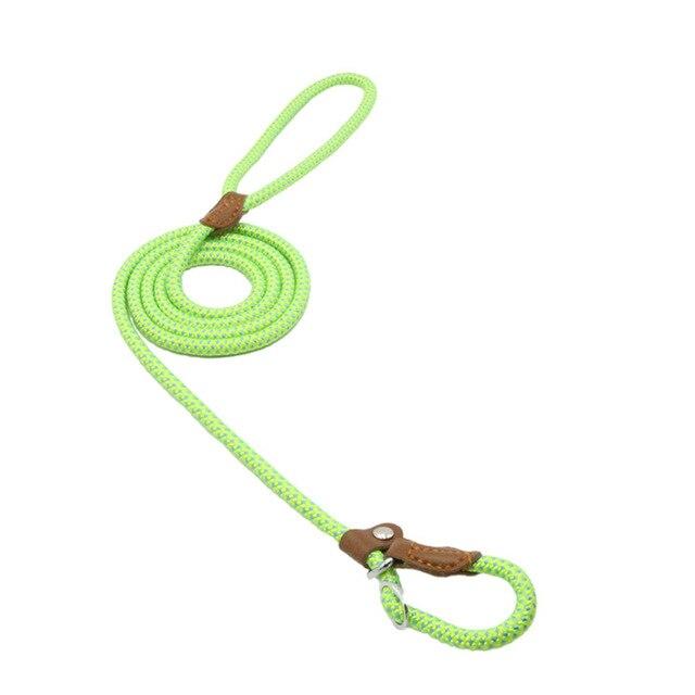 WalkBond™ | Nylon Collar & Lead Set