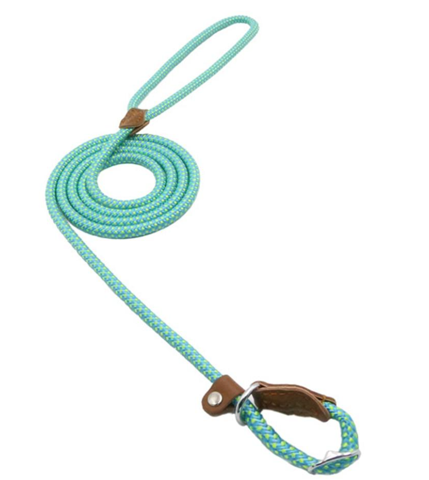 WalkBond™ | Nylon Collar & Lead Set