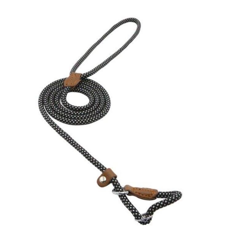 WalkBond™ | Nylon Collar & Lead Set