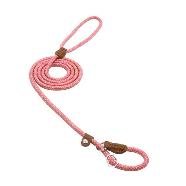 WalkBond™ | Nylon Collar & Lead Set