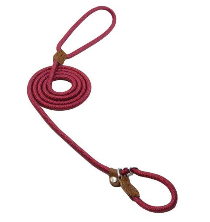 WalkBond™ | Nylon Collar & Lead Set