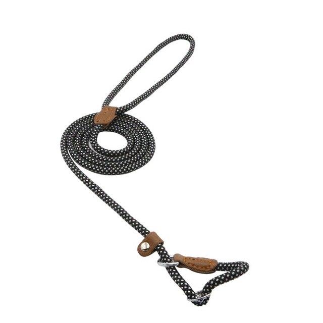 WalkBond™ | Nylon Collar & Lead Set