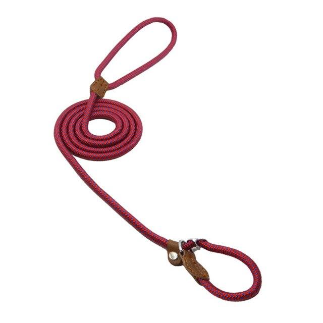 WalkBond™ | Nylon Collar & Lead Set