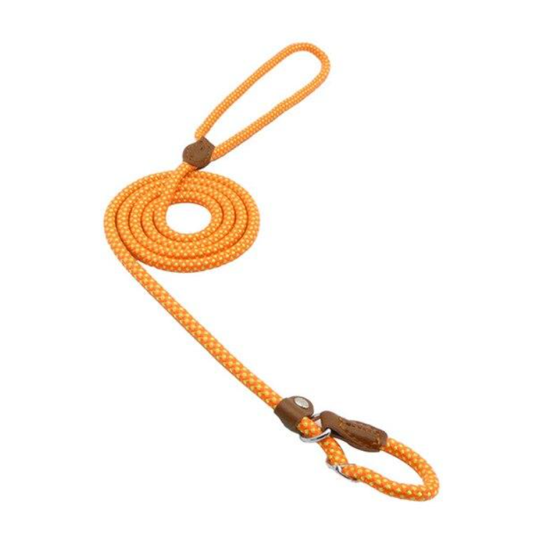 WalkBond™ | Nylon Collar & Lead Set