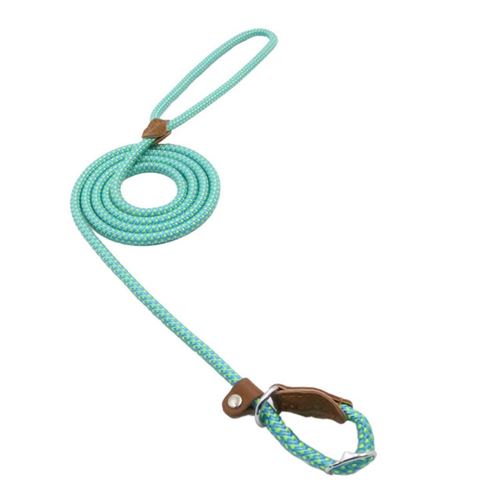 WalkBond™ | Nylon Collar & Lead Set