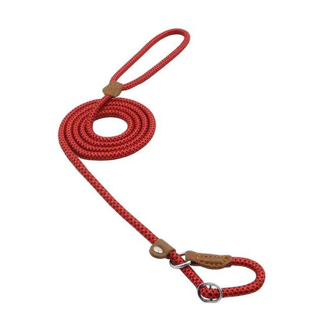 WalkBond™ | Nylon Collar & Lead Set